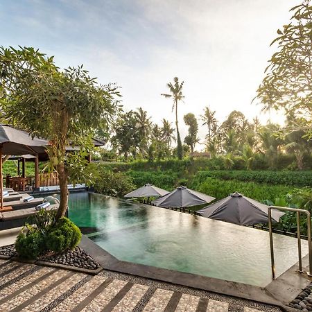 Mayura Ubud Retreat Екстер'єр фото